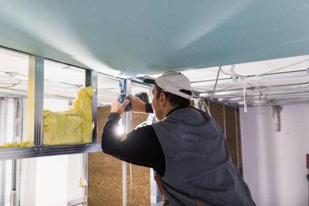 Best Residential Insulation in Covington, LA