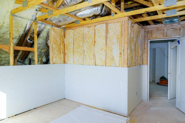 Best Eco-Friendly Insulation in Covington, LA